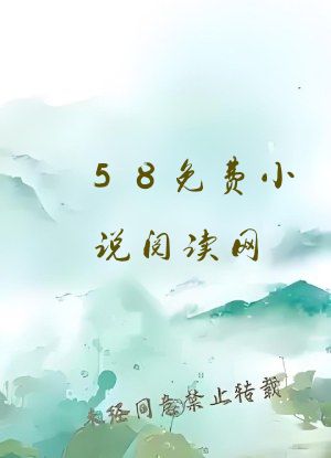58免费小说阅读网